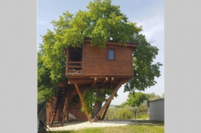 Casa sull'Albero Treehouse Costa dei Trabocchi Torino Di Sangro